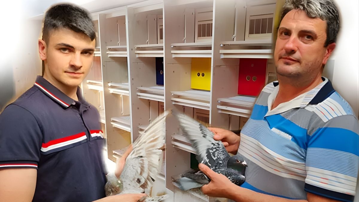 Huzu Racing Pigeons Breeding Loft