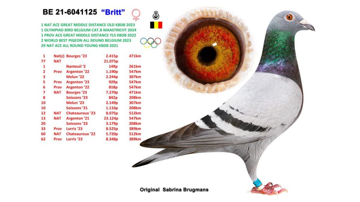 B.21-6041125 Britt Sabrina Brugmans