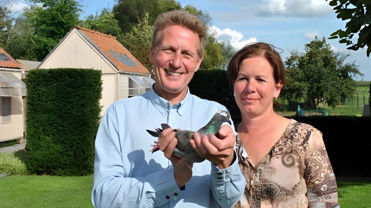 Benny Steveninck Racing Pigeons