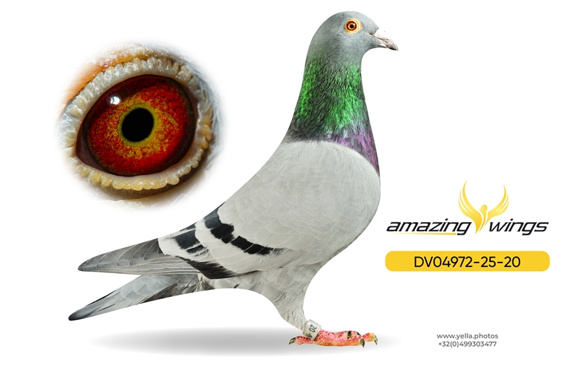 Heinz Bindacz Auction 1