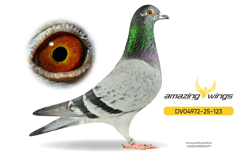 Heinz Bindacz Auction 2