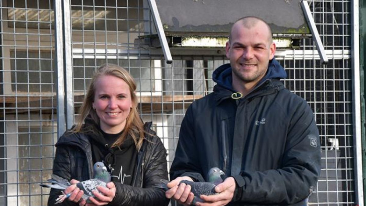 Jay Lissenberg, Utrecht: The Quiet Force Behind the Marathon Pigeon Racing Revolution in 2025
