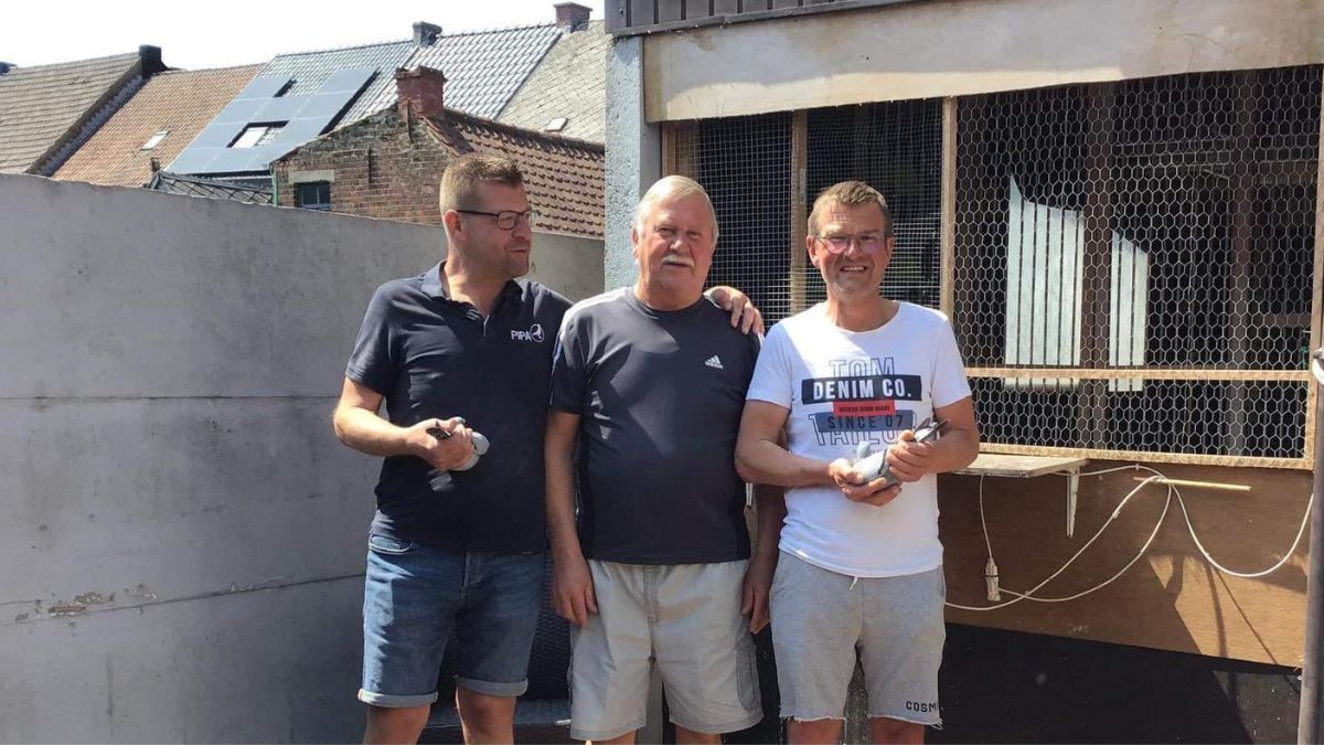 Kennof Racing Pigeons