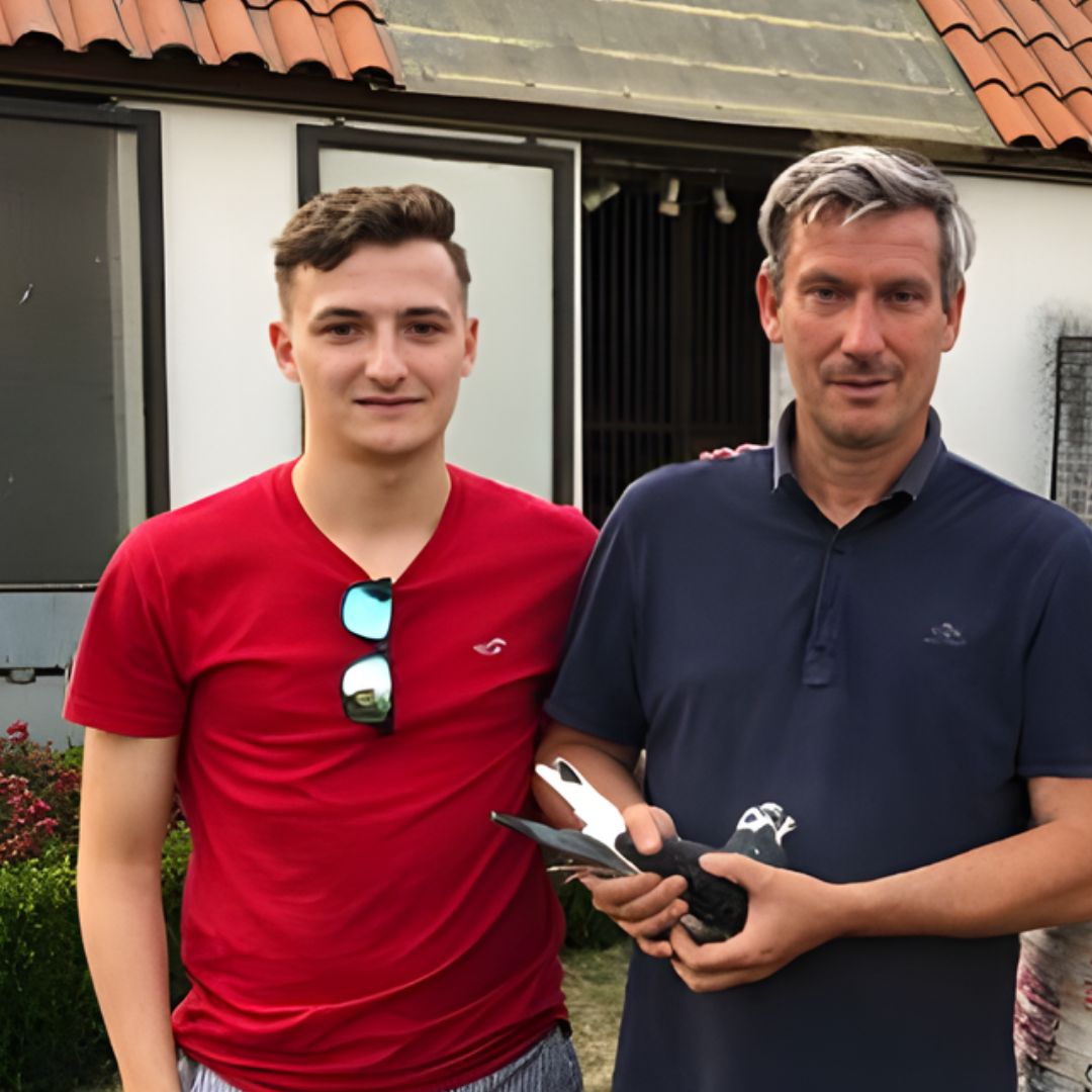 Luc Odeurs Racing Pigeons