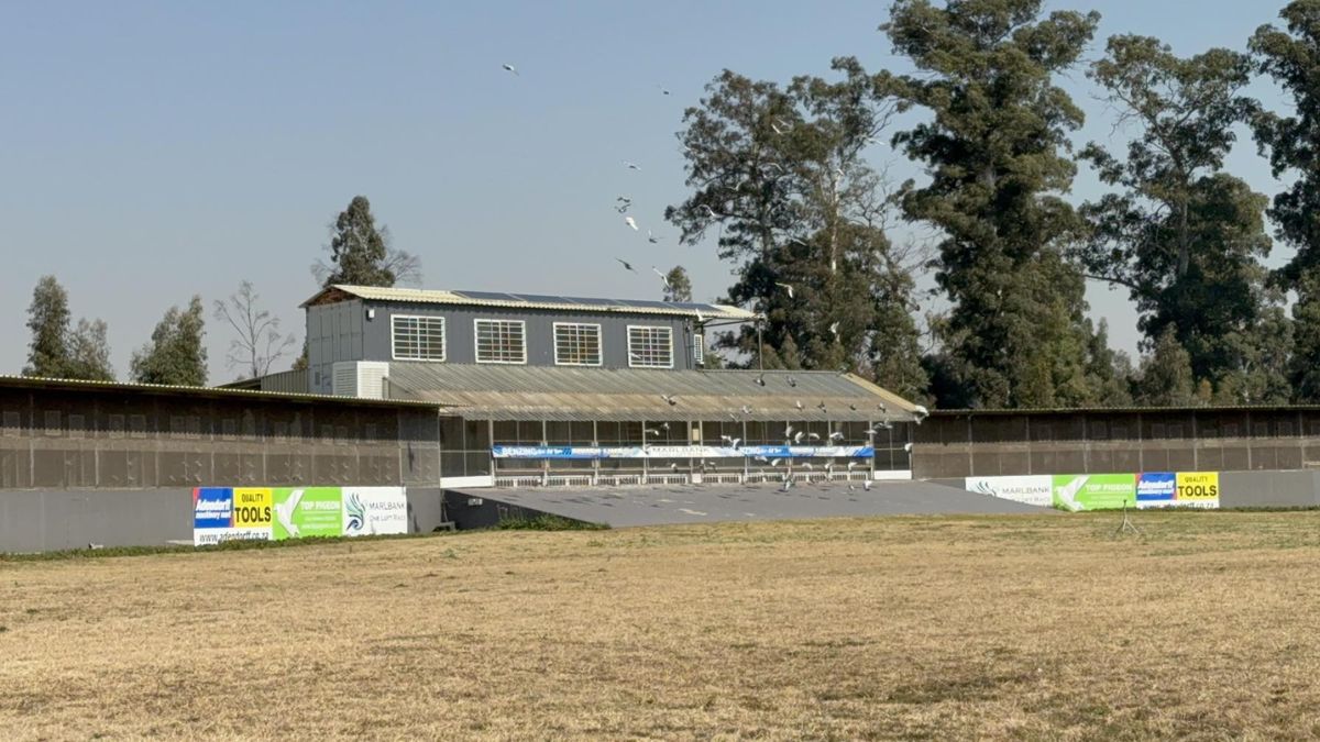 Marlbank One Loft Racing Pigeon Race