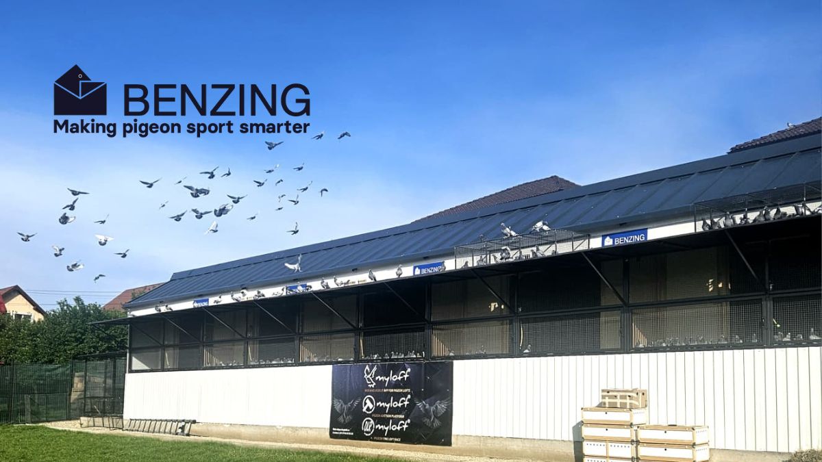 MyLoft One Loft Race 2026