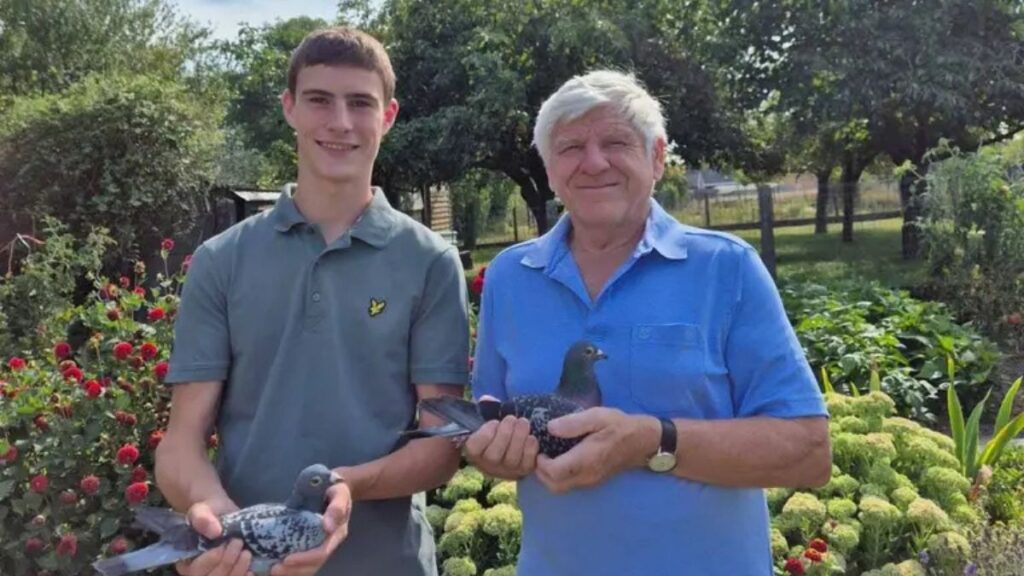 Noël De Clercq Racing Pigeons