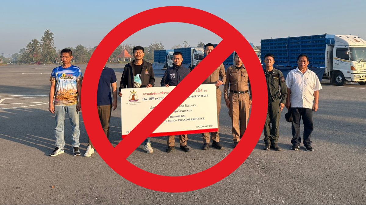 Pattaya OLR Disaster 2026