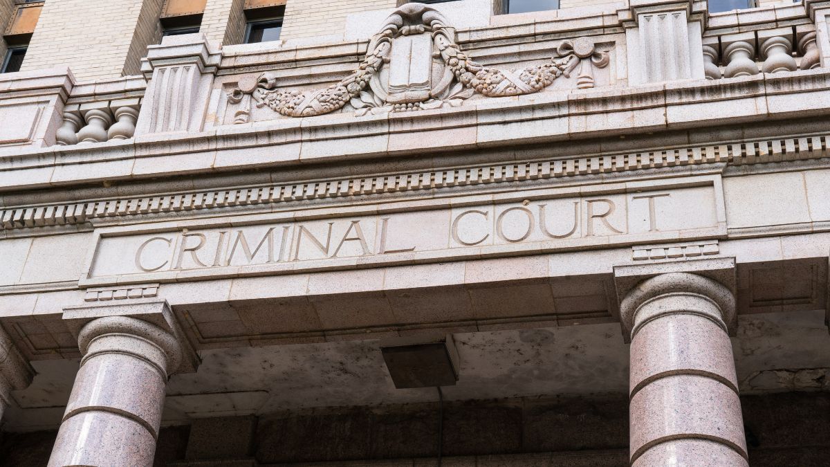 Racing Pigeon Thefts