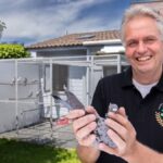 Rex de Leeuw, Racing Pigeons and Lions Pigeons The marathon Boss from Made