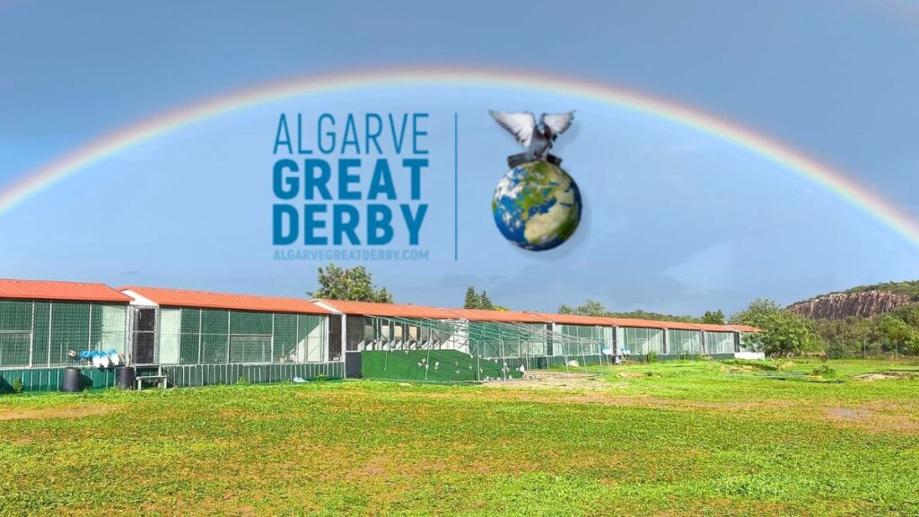 Algarve Great Derby One Loft Race