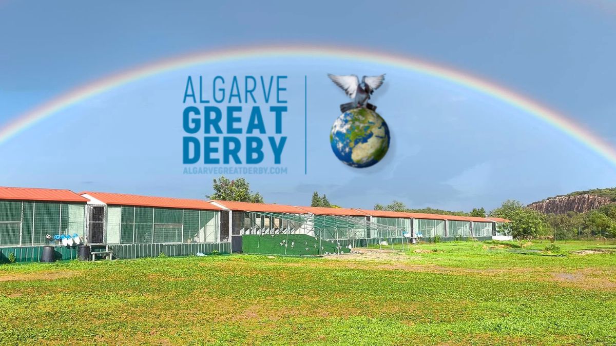 Algarve Great Derby One Loft Race