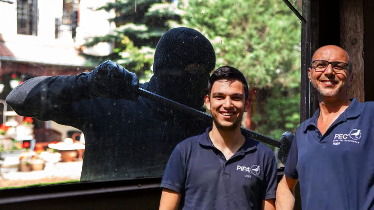 Batenburg vd Merwe Pigeons