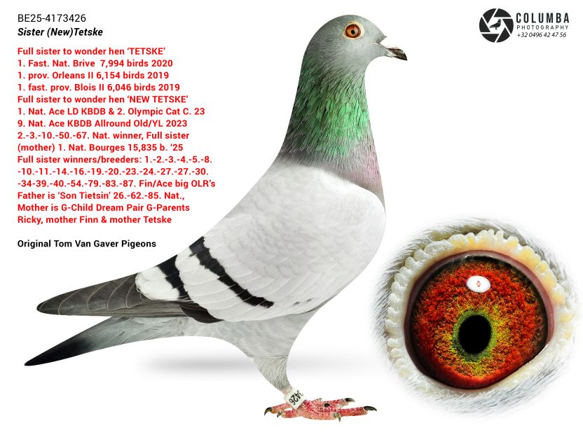 B.25-4173426 Sister Tetske