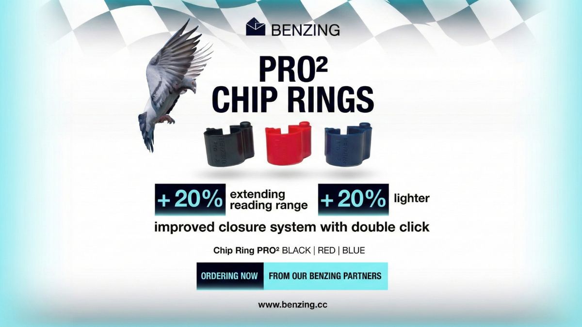 Benzing Pro2 Chip Ring