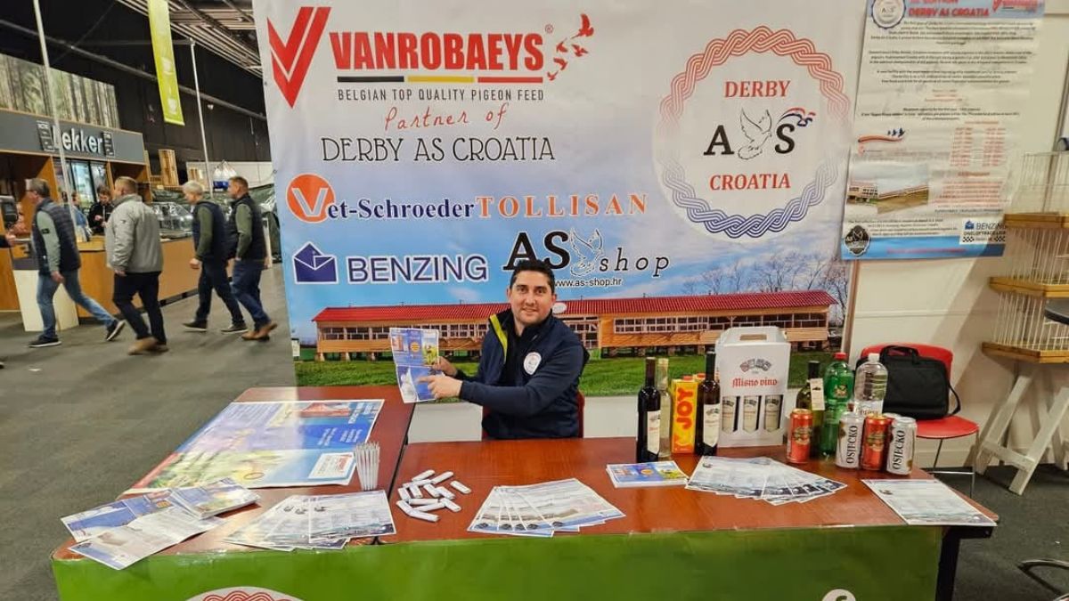 Derby AS Croatia Pigeons: Experience the Real Pigeon Sport at the Spring Fair in Houten