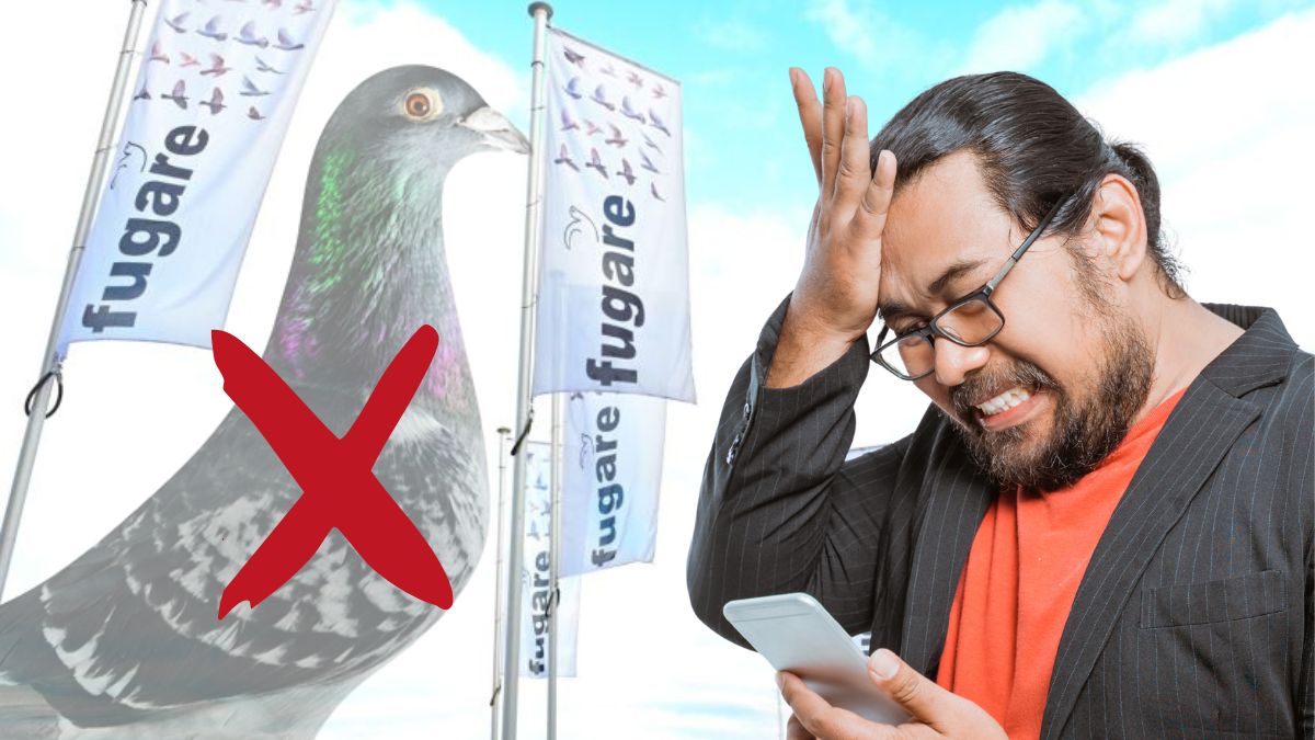 The Soul Ripped Out: Why Fugare Pigeon Fair 2026 Faces Its Darkest Hour