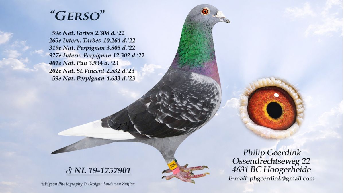 NL.19-1757901 Gerso Philip Geerdink