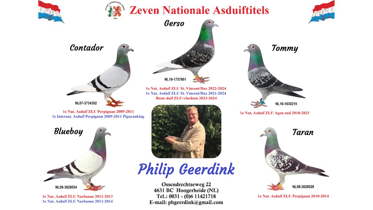 Philip Geerdink Colage