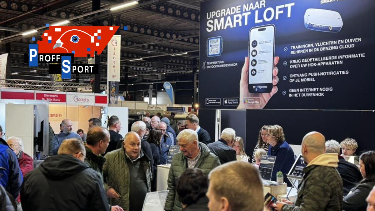 Houten 2026 Pigeons: The Soul Can’t Be Caged at the Spring Fair!