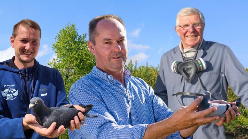 Triple Top Mix Amazing Wings