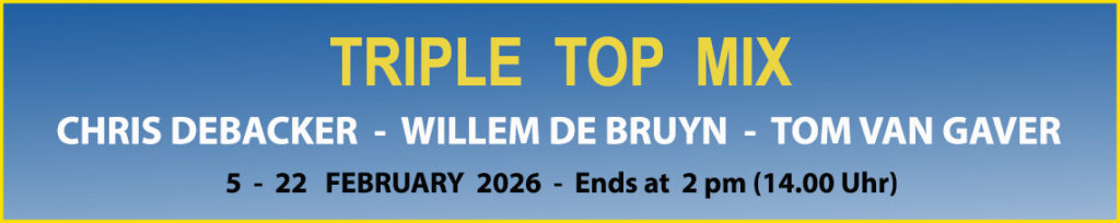 Triple Top Mix Amazing Wings