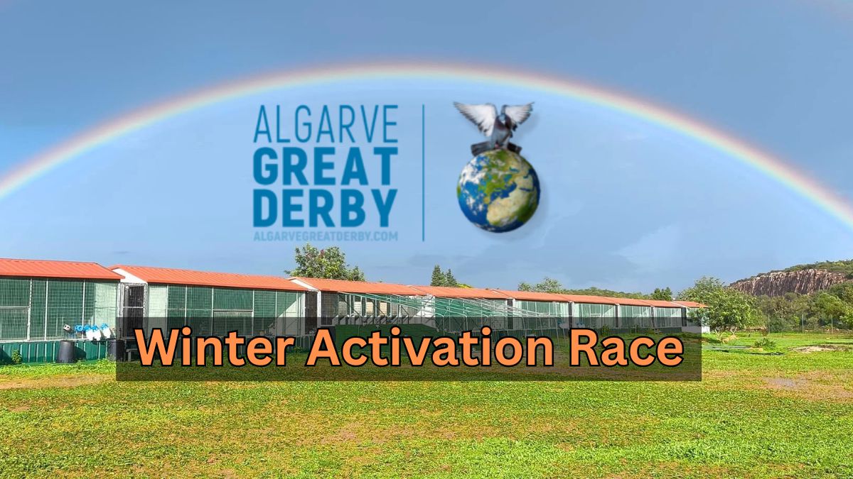 The Algarve explodes: A historic activation race and the first summer champions land in paradise!