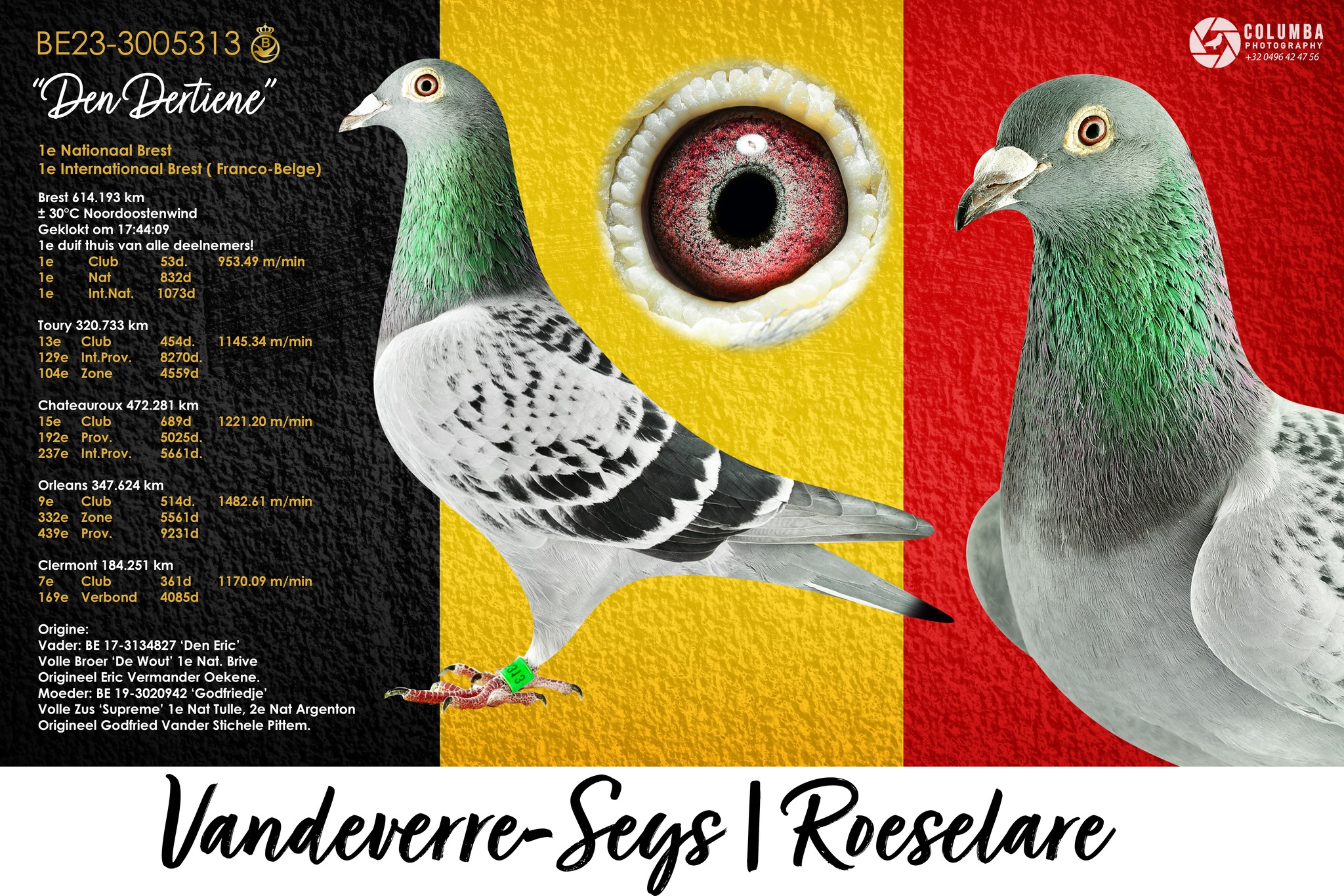 B.23-3005313 Den Dertiene