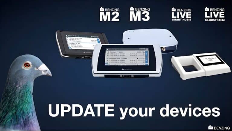 Benzing Updates