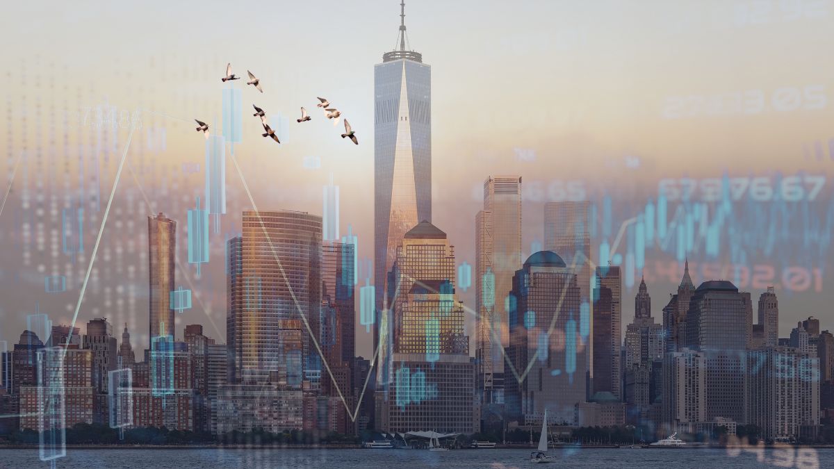 Forget Gold and Crypto: Why the smartest millionaires are now investing massively in blue gold pigeons