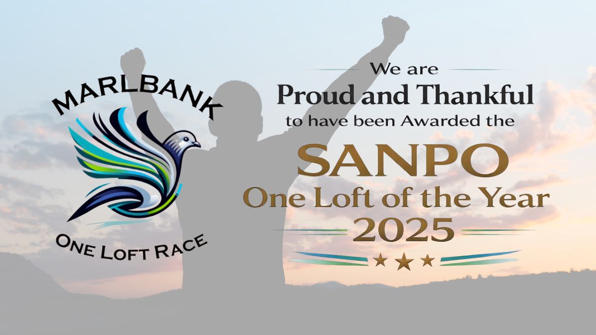 Marlbank OLR Crowned SANPO One Loft Of The Year 2025