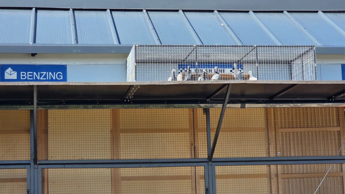 MyLoft One Loft race Romania