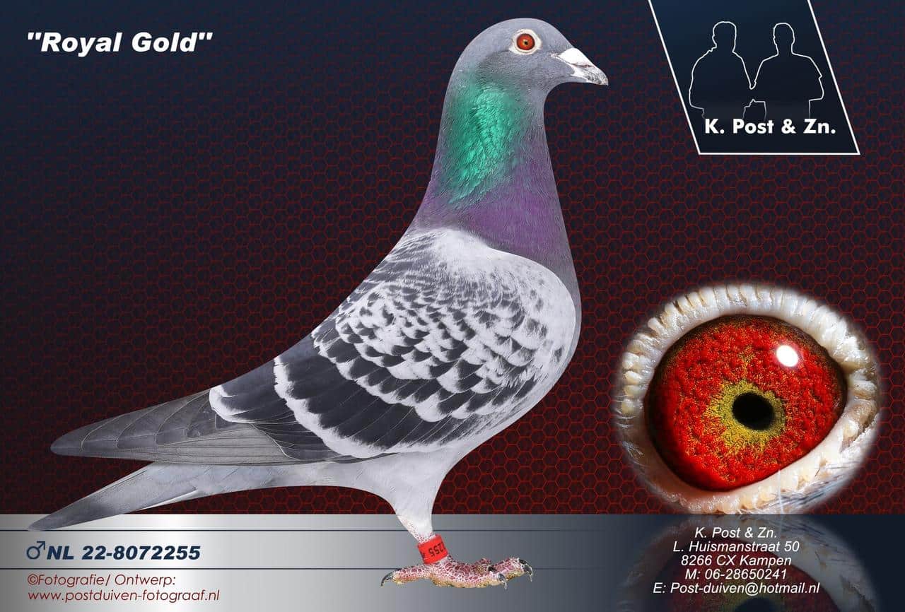 NL.22-8072255 - Royal Gold