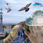 The Pigeon Boss’s Digital Manifesto: Why Respecting the Athlete Is the Only Way Forward