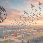 The Gold Standard of Excellence: Why Pigeon Boss Approved One Loft Races Represent the Pinnacle of the Sport