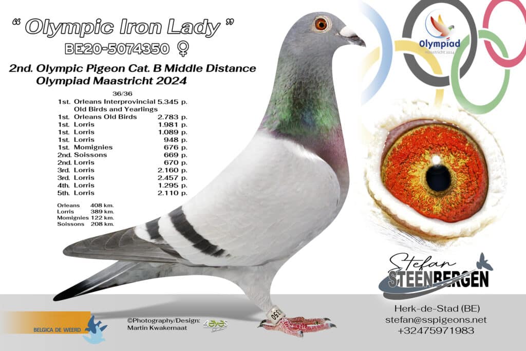 Stefan Steenbergen - B.20-5074350 - Olympic Iron Lady