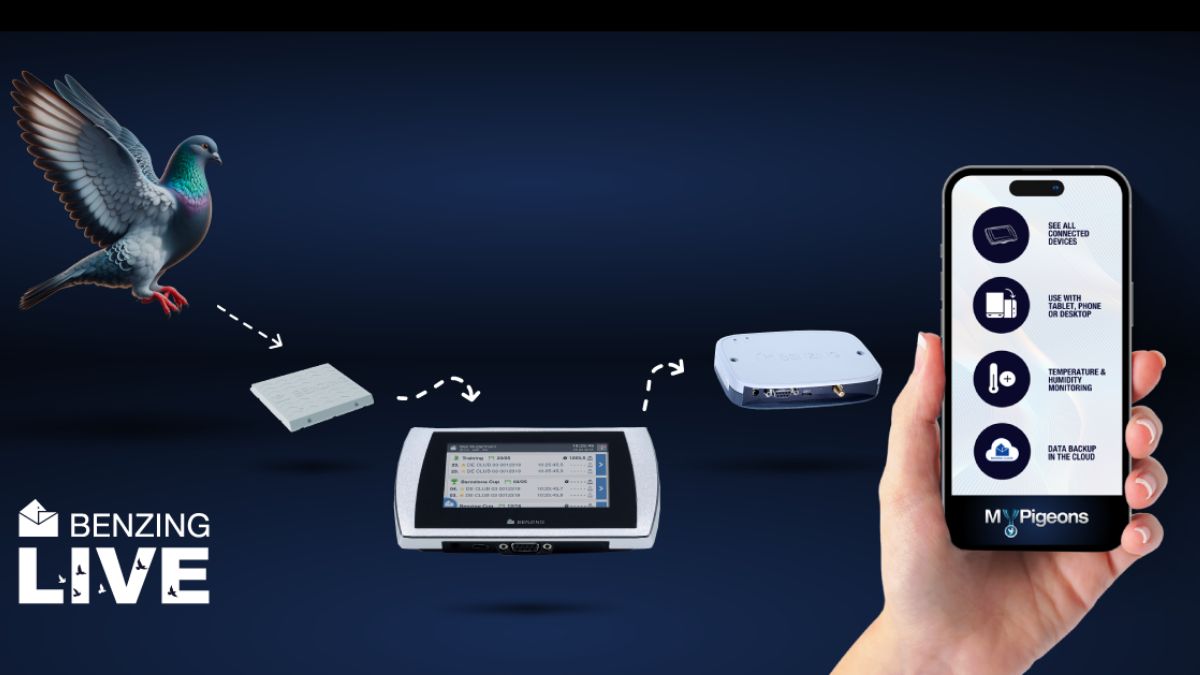 Benzing Live Hub