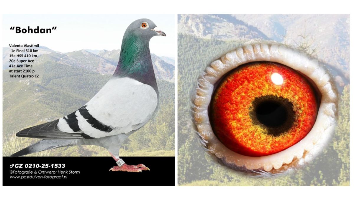 Talent Quatro One Loft Race