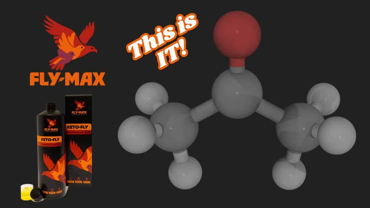 The Revolution: Why Ketones Make the Difference