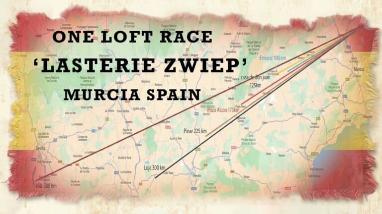 One Loft Race Murcia, Spain
