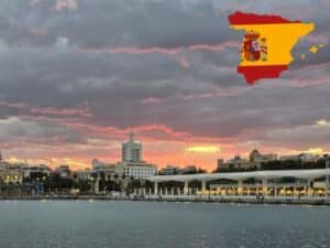 Schalkwijk Pigeon Malaga