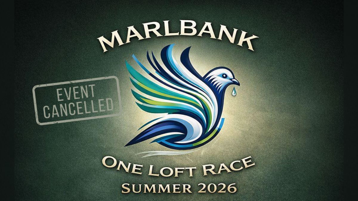 A Personal Note from Wayne and the Marlbank Team