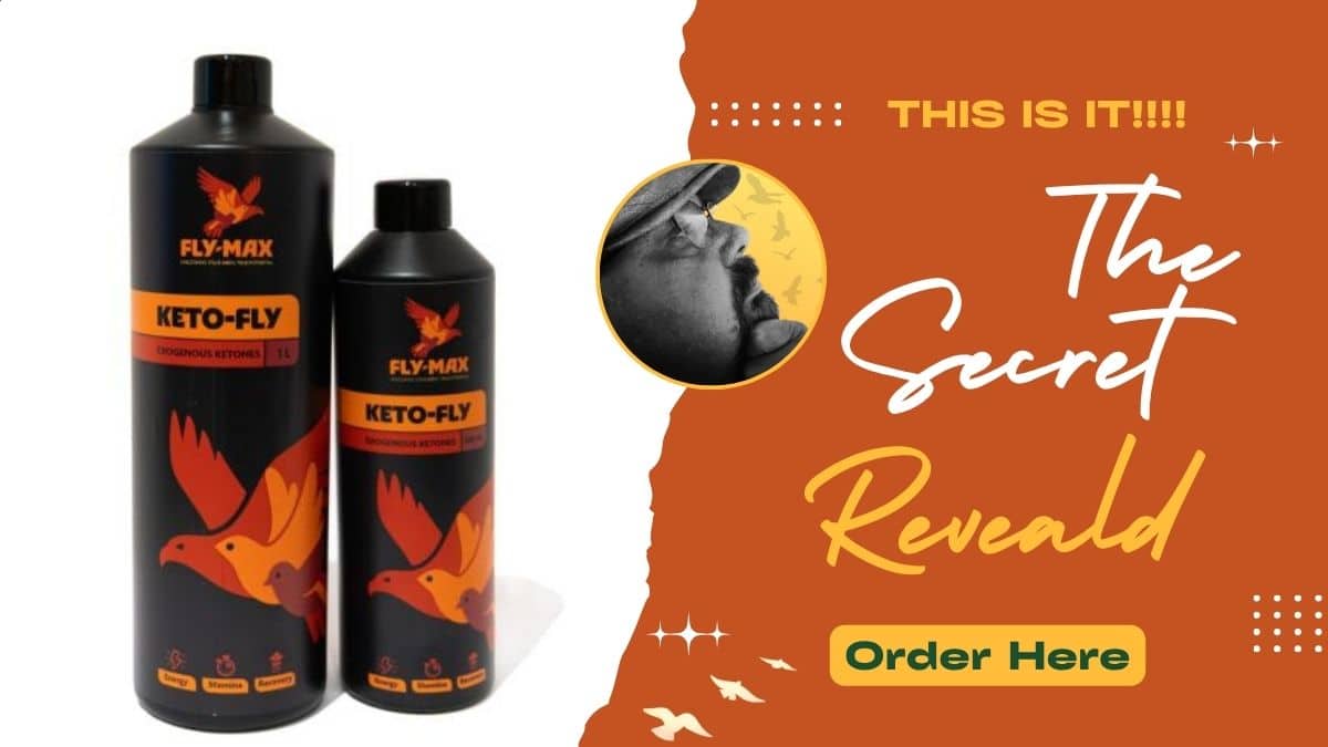 The Revolution: Why Ketones Make the Difference