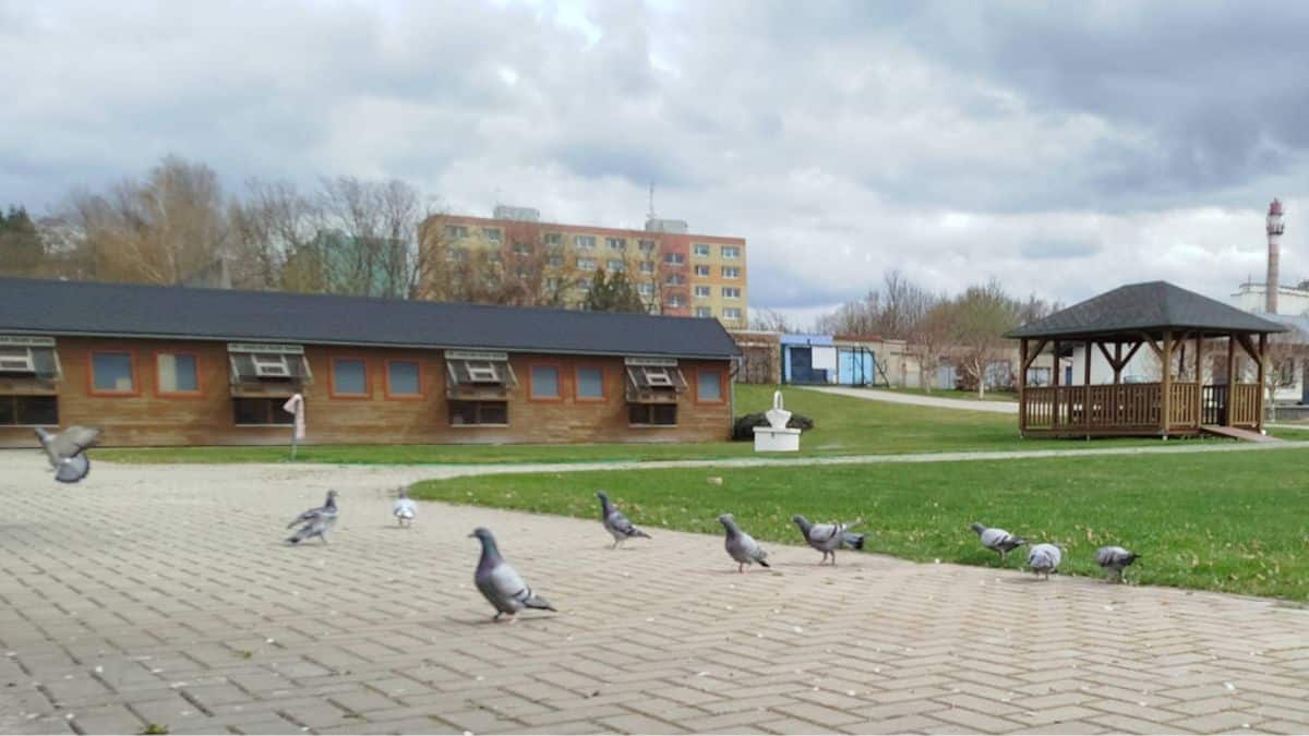 Talent Quatro Loft 2