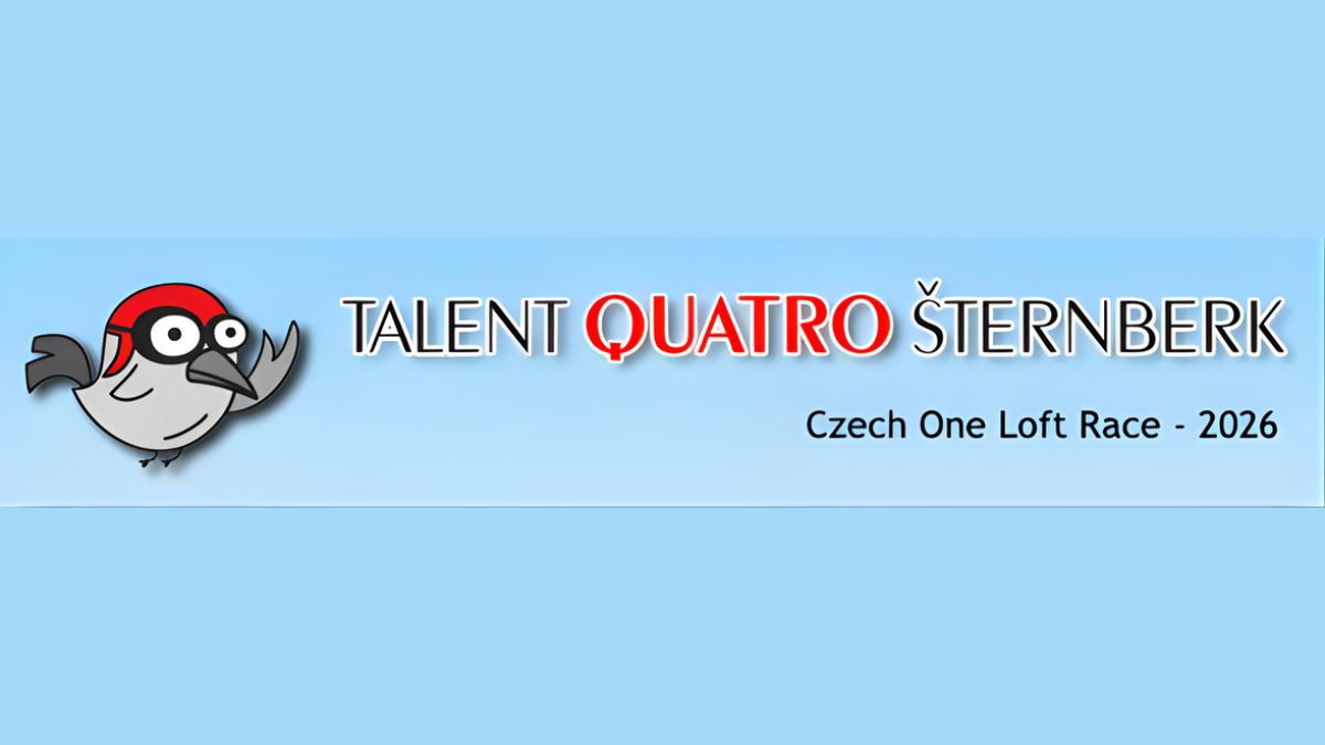 Talent Quatro One Loft Race