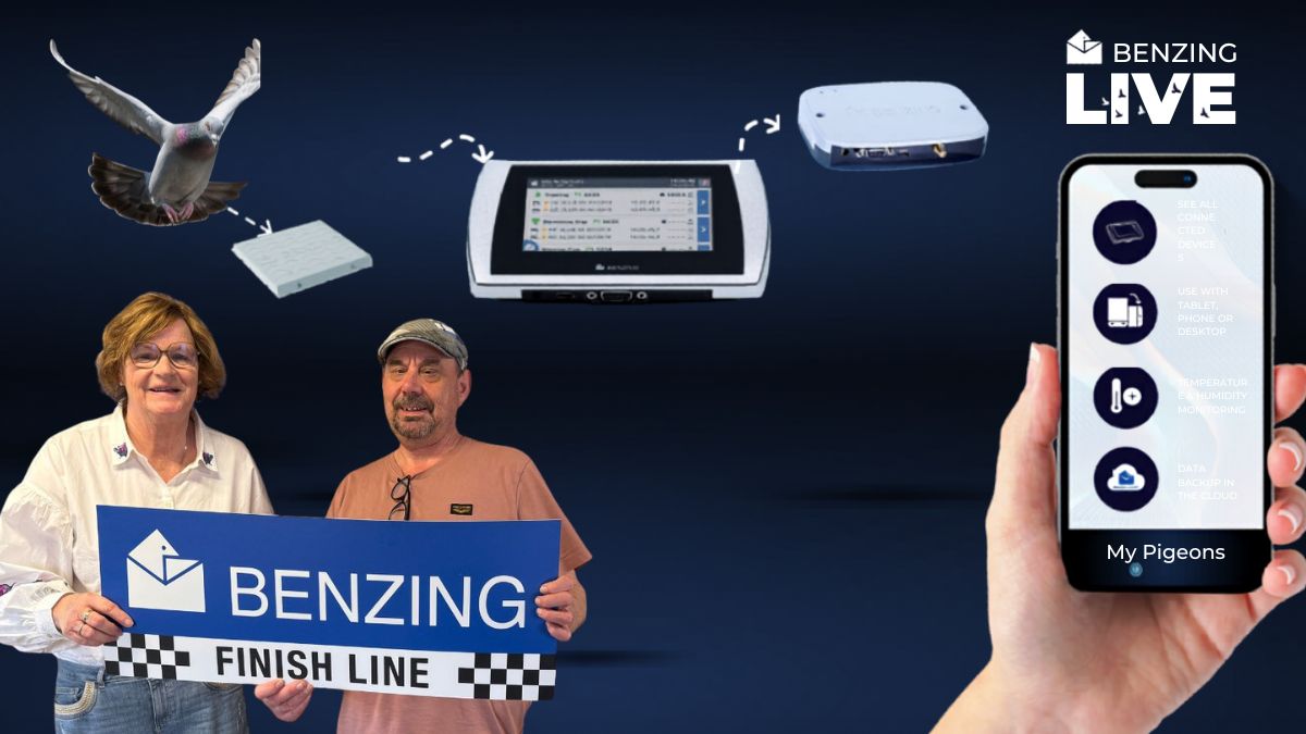 The Pure Experience of Our Sport: How the Pigeon Boss Finds Peace of Mind with Benzing