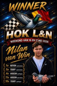 van Win Family Racing Pigeons for sale