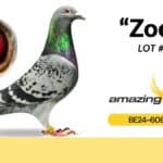 It’s never to late to buy your new GOLDEN BREEDER, check the May Highlights Auction