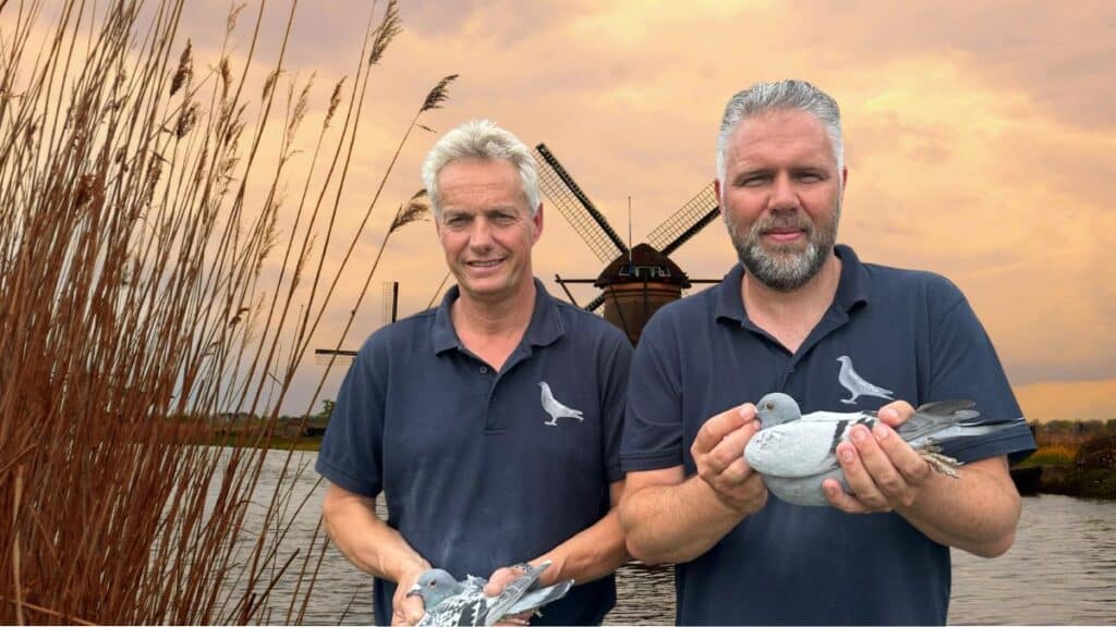 The Sky is the Limit: Team van Oss Pigeons Remains the Absolute Pride of Pigeon Racing!