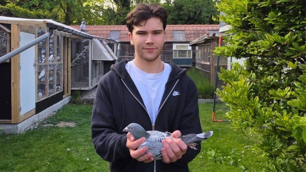 Milan van Win: Advancing the Legacy of the van Win Family Pigeons